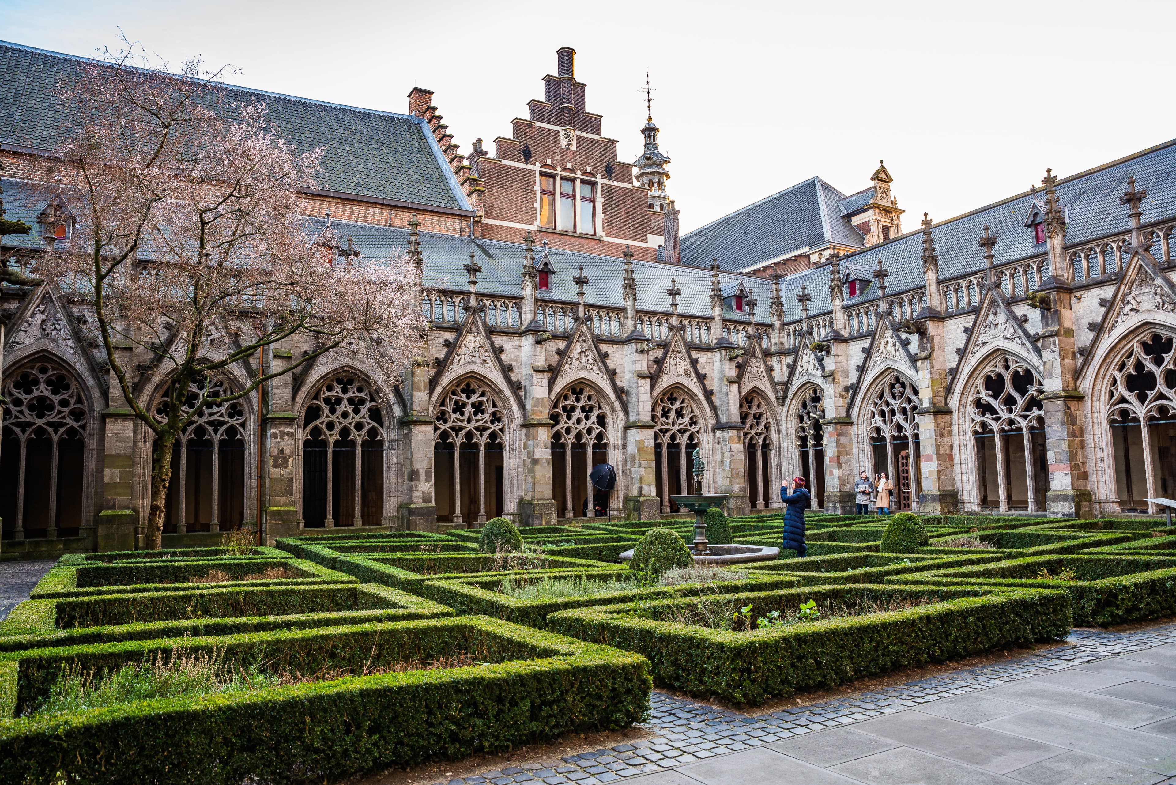 Gothic college courtyard representing comprehensive college admissions support